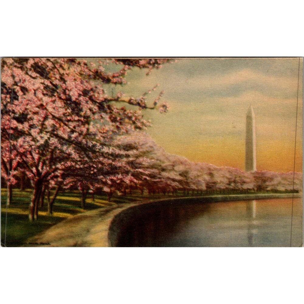 Potomac Basin in Washington DC Vintage Postcard SP17-17